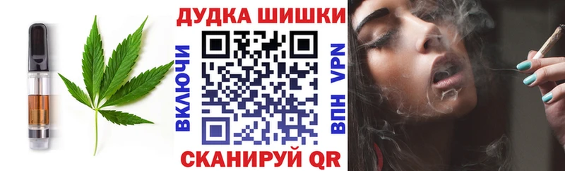 Купить закладки  Заринск  Cannafood конопля 