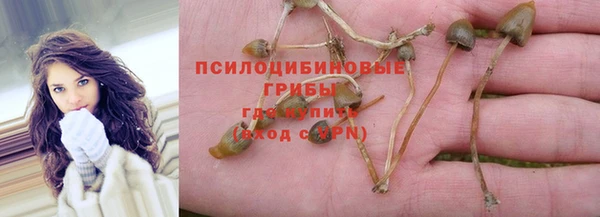 стафф Каменка