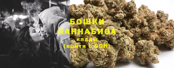 молекула духа Каменногорск