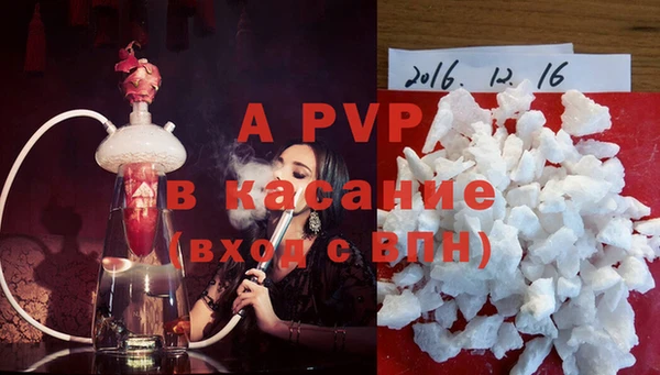 стафф Каменка