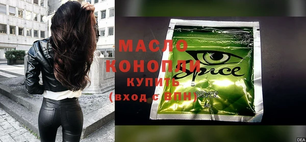 молекула духа Каменногорск