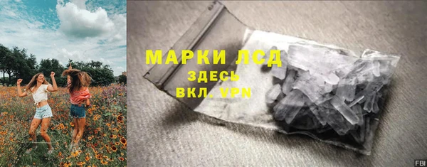 стафф Каменка